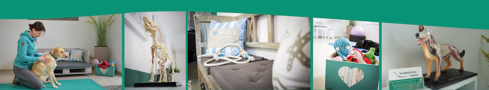 Hundephysio Ostsee